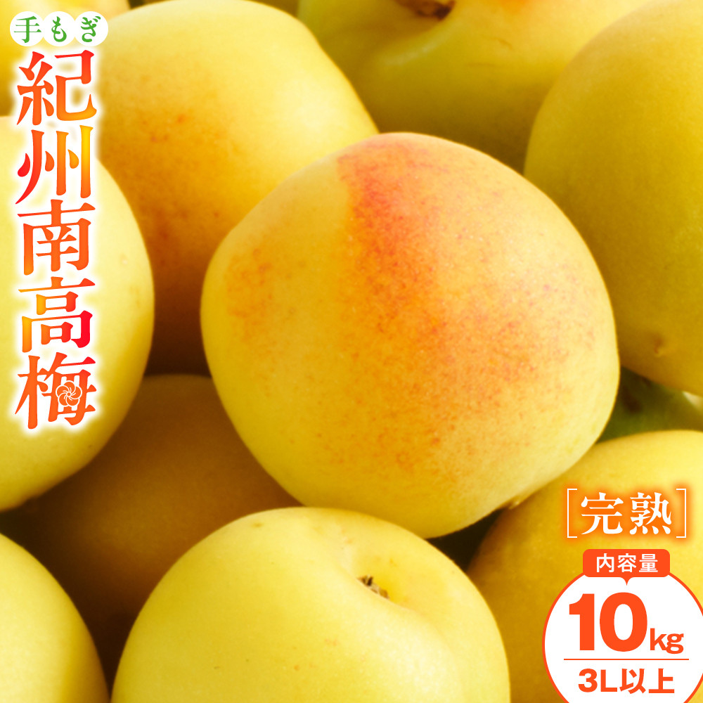 手もぎ 完熟南高梅 10kg 大粒 3Lサイズ以上 谷本農園 CX064