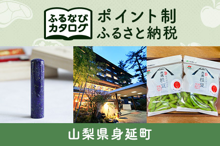 【有効期限なし！後からゆっくり特産品を選べる】山梨県身延町カタログポイント