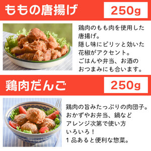 冷凍デリ 定期便 2回 鶏肉 冷凍食品 防災 