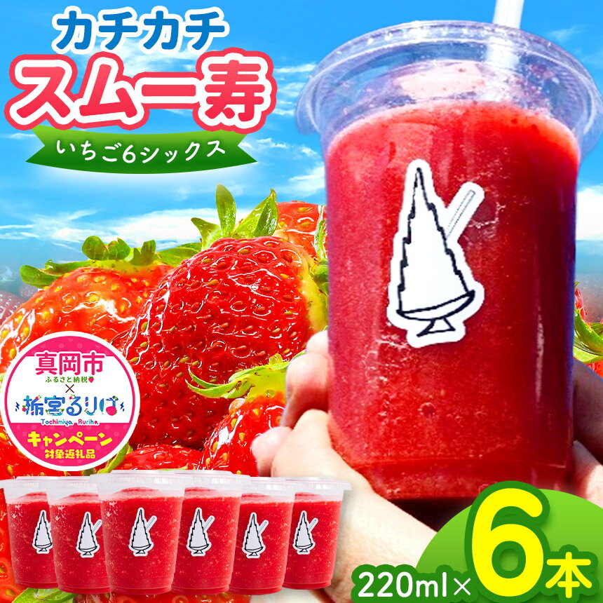【ふるさと納税】スムージー 寿氷 いちご 6 (シックス) とちあいか 6個セット スモール ｜ 12月以降 発送 いちご イチゴ スイーツ フルーツ ご褒美 プレゼント おもてなし 贈答 220ml 氷菓 アイス 特産品 旬 夏 栃木県 真岡市 送料無料（クラウドファンディング対象）