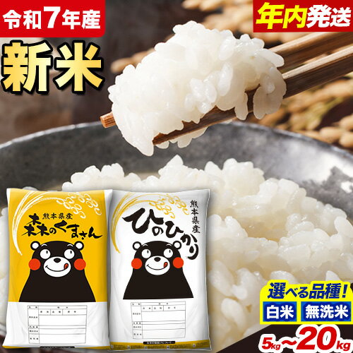 熊本県産ひのひかり 13kg 6.5kg×2袋