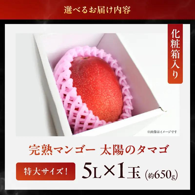 【先行予約/数量限定】完熟マンゴー「太陽のタマゴ」５L×１玉 濃厚 宮崎県産 高級 果物 フルーツ 贈答 ギフト 太陽のタマゴ 送料無料【JA綾町】_A0114-2321