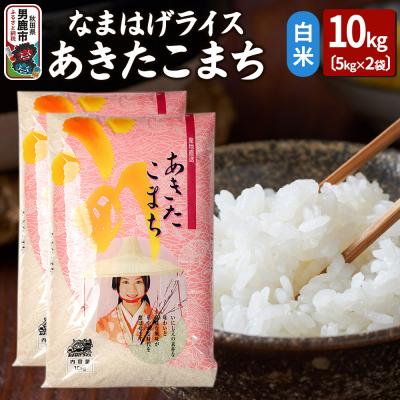ふるさと納税 男鹿市 令和6年産なまはげライスあきたこまち白米10kg|23_ysu-311001a