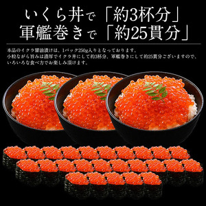  《12月発送》創業100余年の味！鱒イクラ醤油漬け 250g [053-a030_(20)-12]