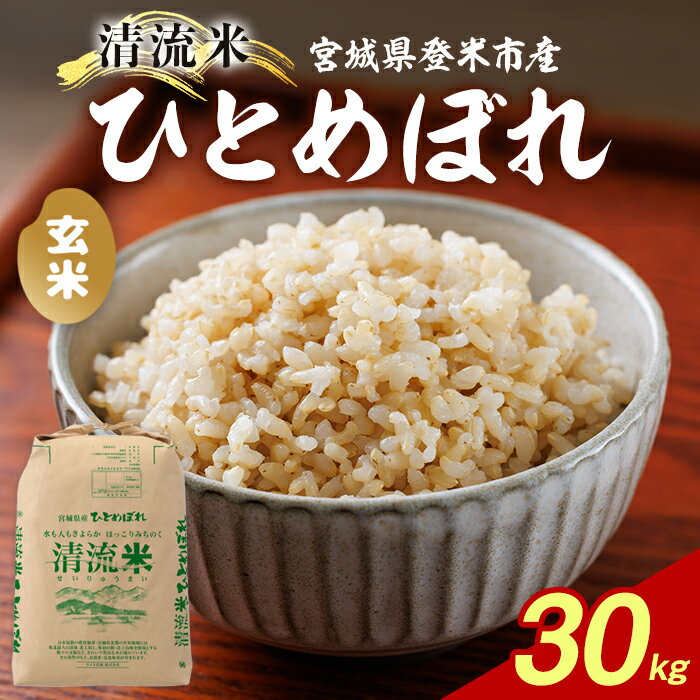 【ふるさと納税】＜令和7年度産＞ひとめぼれ 玄米 30kg×1袋 宮城県登米市産 お米 おこめ 米 コメ ご飯 ごはん おにぎり お弁当【ライス宮城株式会社】tm633