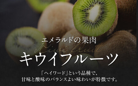 グリーンキウイ （4L、16玉）【2026年2月中旬から順次発送】グリーンキウイ[AGAO002]