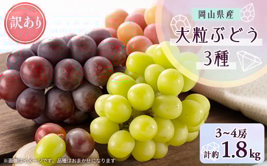 1064.＜先行受付＞訳あり大粒ぶどう3種セット(10月初旬～12月下旬発送予定)【1489000】