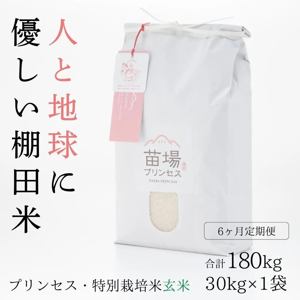 【令和8年産先行予約】【6ヶ月定期便】【農薬化学肥料5割減】魚沼コシヒカリ 苗場プリンセス 特別栽培米 玄米 30kg(10kg×3袋)×6回 計180kg |津南町 コシヒカリ 定期便