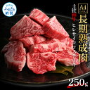 【ふるさと納税】天下味 エイジング工法 熟成肉 土佐和牛 特選 ヒレ サイコロステーキ 250g エイジングビーフ 国産 肉 牛肉 和牛 人気老舗焼肉店 冷凍 新鮮 真空パック 高級 高知 高知県 芸西村 故郷納税 38000円 返礼品 贈り物 贈答 ギフト