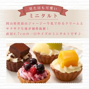 定期便 5ヶ月 フレッシュ タルト 専門店  STYLE 岡山みに たると 詰め合わせ 15個入り ケーキ タルト 詰合せ お菓子 スイーツ