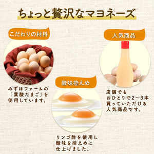濃厚たまごマヨネーズ 4本セット たまご マヨネーズ ドレッシング 濃厚 リンゴ酢 卵 葉酸 玉子 国産 加工品 マヨネーズ 野菜 パック 個包装 具だくさん 揚げ物 エビフライ チキン南蛮 からあげ