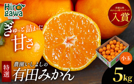 有田 みかん 小玉 5kg 【 創業120年 農家直送 】 / 温州みかん 有田みかん 甘い 小粒 和歌山 柑橘 ※2026年11月中旬～2027年1月下旬に順次発送  【isy004-s-5B】