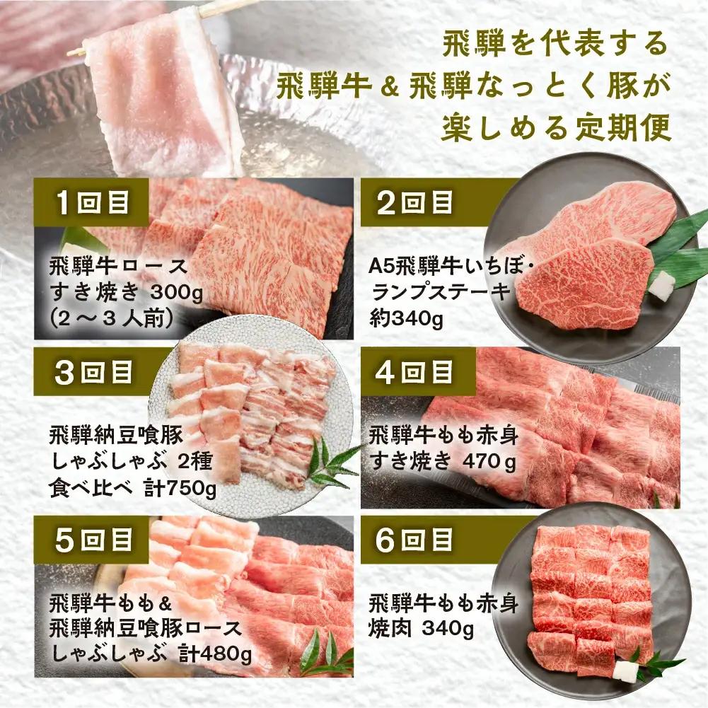 【定期便6回】 飛騨牛 ＆ なっとく豚 ブランド肉 定期便 6回 (ステーキ / すき焼き / しゃぶしゃぶ / 焼き肉) 【tc2】