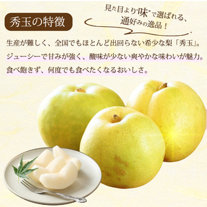 【先行受付】希少品種！秀玉 梨 3.5kg 2026年9月中旬発送予定 果物 くだもの フルーツ なし 202016