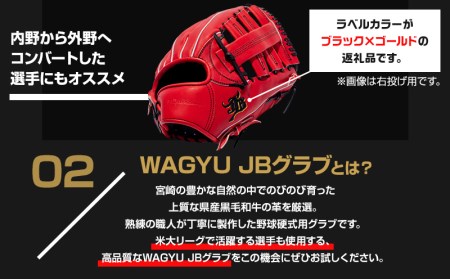 宮崎県産牛革使用 WAGYU JB 硬式用 グラブ 外野手用 JB-008(パワーオレンジ/左投げ用)