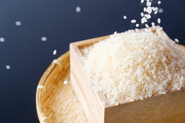 133．特別栽培米　若桜（わかさ）のお米　コシヒカリ　5kg