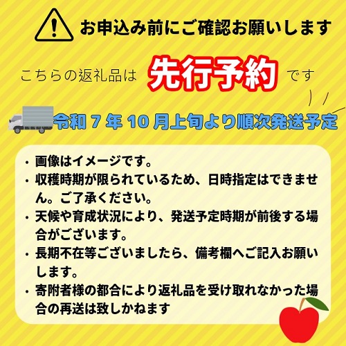 【先行予約】秋映（あきばえ）【約5ｋｇ(12〜18玉)】(7-A23-2) 秋映　約5㎏
