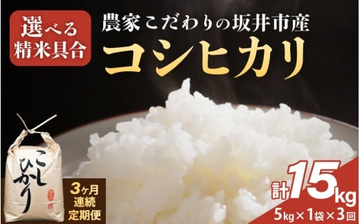 定期便 ≪3ヶ月連続お届け≫ 【令和7年産】農家こだわりの坂井市産 コシヒカリ 5kg×1袋×3回 (計15kg) 【白米】 【米 コメ お米 5キロ こしひかり ふるさと納税米 ブランド米 国産】 [E-10203_01]
