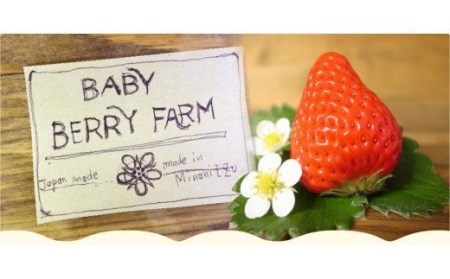 【予約受付】特別賞受賞！完熟冷凍いちご 1kg BabyBerryFarm　【いちご イチゴ  冷凍 冷凍いちご フローズン 紅ほっぺ フルーツ 静岡県産 ふるさと納税  国産 産地直送】