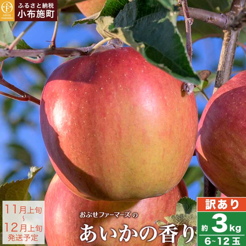 【ふるさと納税】【訳あり】あいかの香り 約3kg 6～12玉 ［おぶせファーマーズ］ フルーツ 果物 林檎 リンゴ 長野県産 信州産 加工 傷 キズ 不揃い 規格外 家庭用 6000円 令和7年産 【2025年11月上旬～12月上旬発送】