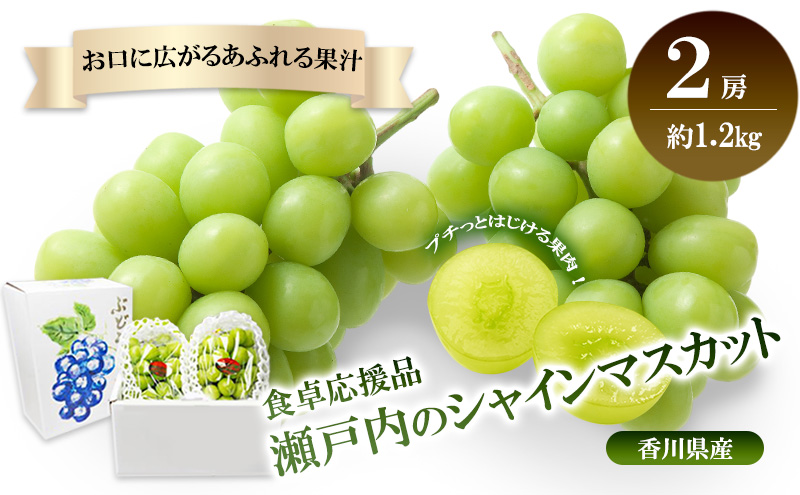 食卓応援品　瀬戸内のシャインマスカット　2房（約1.2kg）