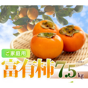 【2025年11月発送】【ご家庭用わけあり】和歌山秋の味覚　富有柿　約7.5kg【日高町】【1217364】