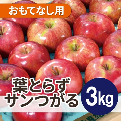 
                  ＜2026年9月発送予定＞平均糖度12度以上! 葉とらずサンつがる 約3kg おもてなし用 クール便【1606598】
                