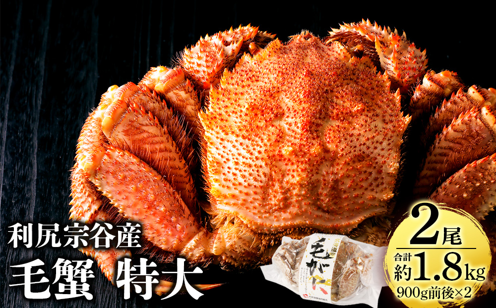 【2025年4月以降発送】北海道 利尻・宗谷産 毛ガニ 特大サイズ（900g前後） 2尾セット＜利尻漁業協同組合＞