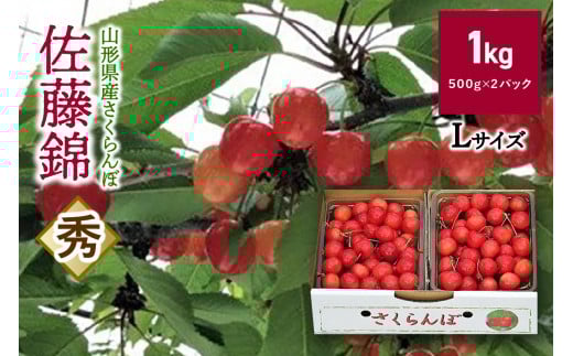 さくらんぼ（佐藤錦）１ｋｇ　0069-2502