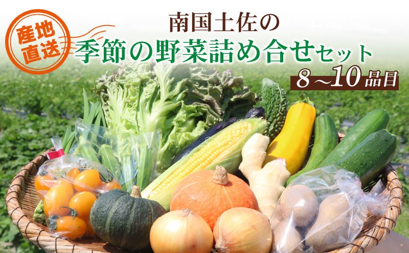 
            南国土佐の季節の野菜詰め合せセット | セット 詰め合わせ 旬 やさい 野菜 卵 農家直送 お楽しみ かぼちゃ カボチャ キャベツ きゃべつ トマト とまと 玉ねぎ たまねぎ タマネギ きゅうり キュウリ 旬野菜 夏野菜 春野菜 人気 高知県 南国市
          