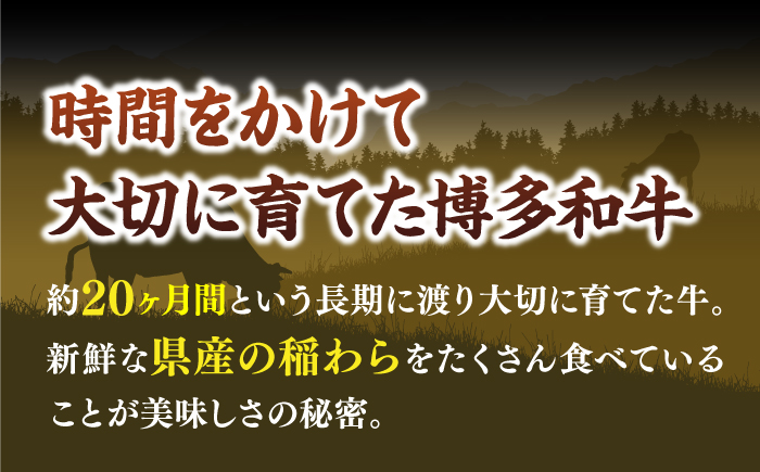 【和牛の旨味を堪能！】博多和牛 切り落とし 500g《築上町》【株式会社MEAT PLUS】 [ABBP004] 10000円 1万円 10000円 1万円