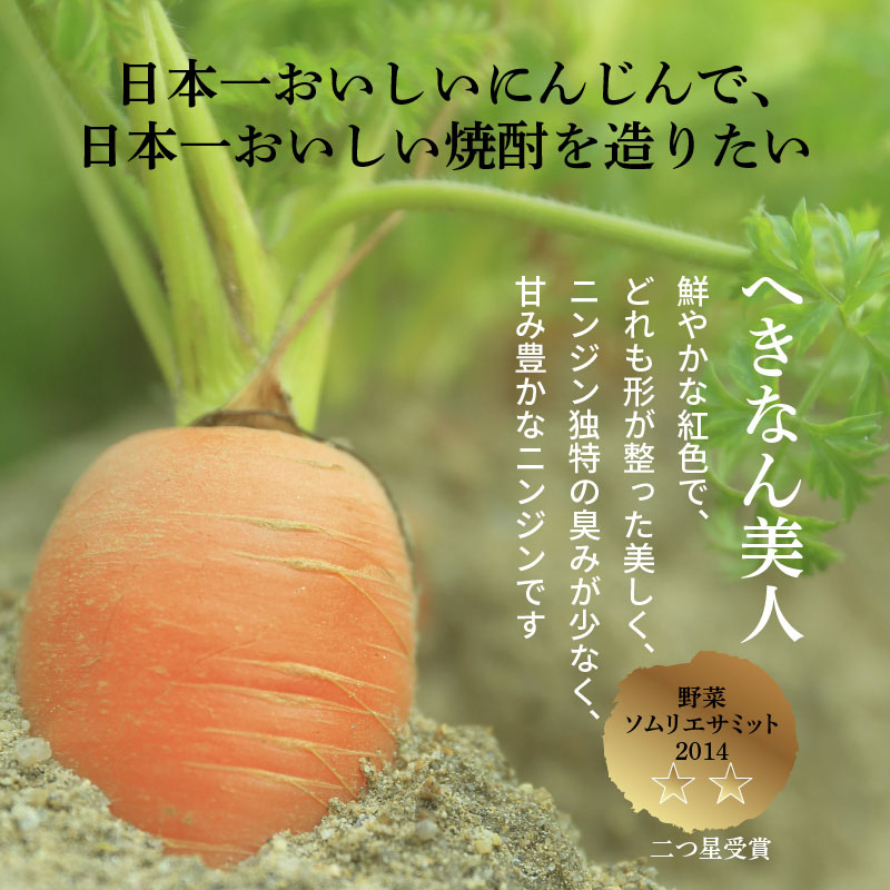 にんじん焼酎　紅　300ml×1本 へきなん美人使用　H009-034