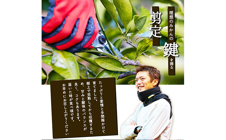 ぎょくだん『ミチヒロ』のみかん 約5kg(サイズおまかせ) 《10月下旬-1月下旬出荷》 予約受付中 フルーツ 秋 旬 熊本県玉名郡玉東町『熊本・玉東、玉東町段々畑男子団。』みかん ぷらっとぎょくとう