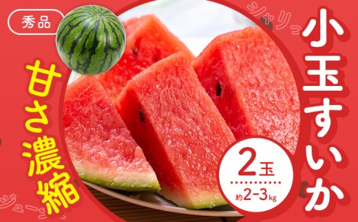 【先行予約】スイカ 小玉すいか 秀品 2玉 約 2kg ～ 3kg L ～ 3L 混合 株式会社Foody’s 食彩たかみ 《2027年5月下旬-7月下旬頃出荷》 熊本県 菊池市 フルーツ 果物 スイ