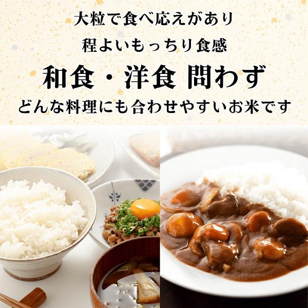【先行予約】<令和７年産> 奥信濃飯山～木内ファームのお米～ つきあかり 精米 10㎏ (7-13B) つきあかり 精米10kg