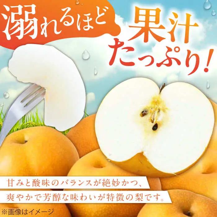 梨 豊水 5kg 梨 [AFAB023] 
