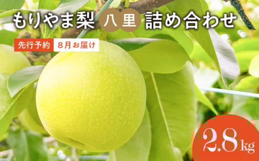 びわこもりやまフルーツランド　もりやま梨　八里詰め合わせ 【2025年8月お届け】完熟採り　生産農家直送