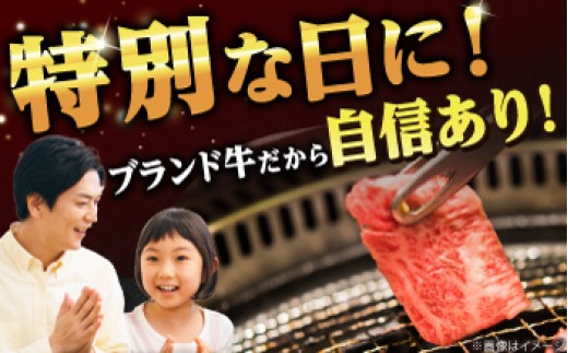 五島牛 焼肉セット 肩ロース バラ 700g / 約4人前 長崎和牛 BBQ ギフト 新上五島町 【ごとう農業協同組合】