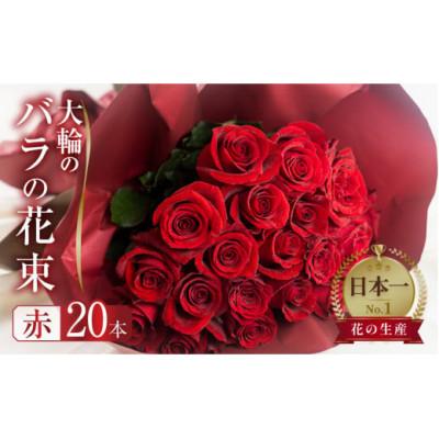 ふるさと納税 田原市 大輪のバラの花束 赤 20本 (40cm)