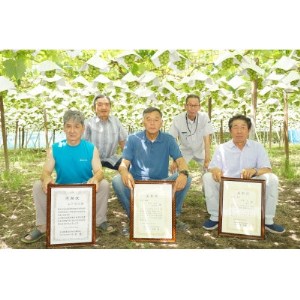 【2024年先行受付】ハウス栽培7月出荷シャインマスカット(2房約800g)世界農業遺産認定地特産【配送不可地域：離島】【1296283】