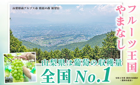 【2026年発送先行予約】山梨県産 シャインマスカット2房(1㎏以上) ALPAI027