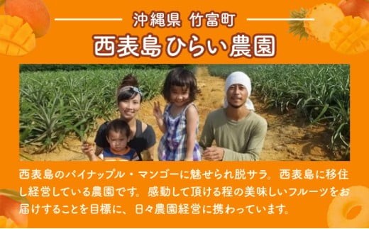 マンゴー 先行予約 沖縄 アップルマンゴー 約4kg 8～12玉 西表島 ひらい農園 2026年 発送 果物 フルーツ デザート 完熟 濃厚 約4kg（8～12玉）