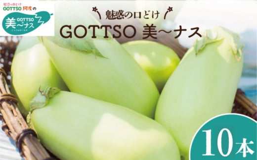 白ナス 美～ナス 1箱 10本 2025年 7月から8月末まで発送 なす 季節 夏 野菜 新鮮 旬 煮物 炒め物 漬物 鍋 味噌汁 GOTTSO 阿波 徳島