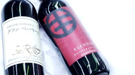 エムズギフトおススメテーブルワイン赤2本セット（MG）B-694【甲州 お酒 赤ワイン 日本ワイン お酒 人気 推奨 赤ワイン フルボトル パーティー 家庭用 ギフト プレゼント】