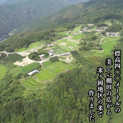 117001 ドブロク(濁酒)2本セット（甘口・辛口）720ml 最優秀賞(和) 特別賞(年) どぶろくコンテスト 酒 どぶろく 飲み比べ にごり酒 濁酒 夫婦 どぶろく特区 / 高知県 奈半利町