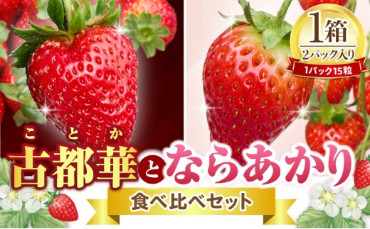 【2027年1月上旬～3月下旬発送】古都華とならあかりの食べ比べセット　1パック×2(1パック15粒) 化粧箱 国産 国産苺 ストロベリー 果物 果実的野菜 フルーツ デザート おやつ 糖度 濃厚 香り 鮮やか 甘い ビタミン 奈良県産 お取り寄せ 贈答用 送料無料