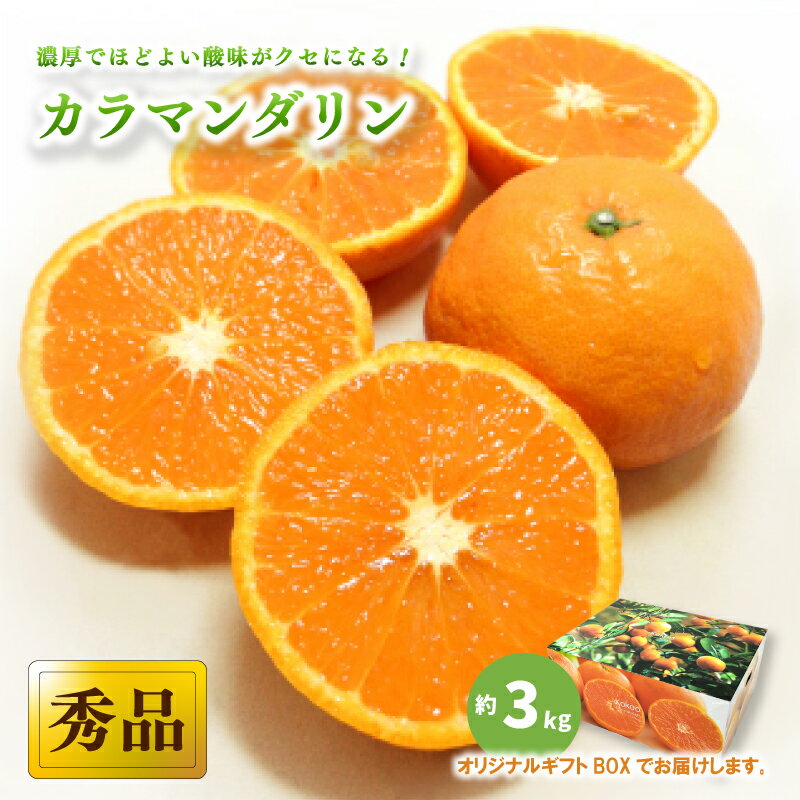 【ふるさと納税】 【2026年4月上旬から発送予定】カラマンダリン ＜秀品＞ 約3kg (M-L) ギフトBOX入り | みかん カラマンダリン 秀品 オレンジ 柑橘 カラマンダリン みかん 贈答 カラマンダリン みかん 贈答箱 愛媛県 松山市 ココオ Koko'o