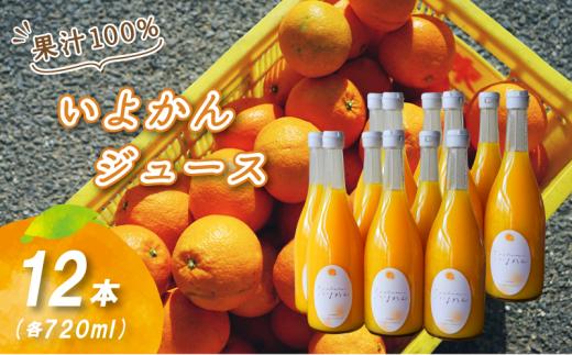 【予約販売】いよかんストレート果汁100％ジュース 720ml×12本 | 数量選択可 果汁100% 無添加 伊予柑 ストレートジュース 数量選択可 | みかんジュース 果汁100% みかんジュース 