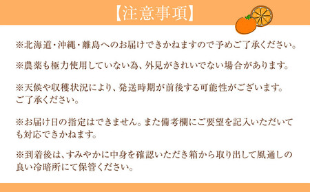 贈答用 森本農園の手選別 甘夏 みかん 約10kg 和歌山県産 サイズ混合 ［北海道・沖縄・離島配送不可］［2026年4月上旬から順次発送］［RN79］