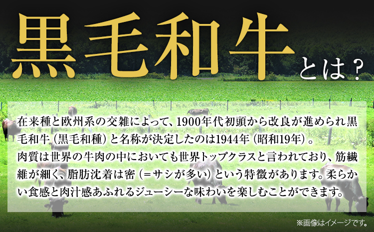くまもと黒毛和牛 サーロインステーキ 内容量 1000g(250g×4) 牛肉 冷凍 《30日以内に出荷予定(土日祝除く)》 くまもと黒毛和牛 黒毛和牛 冷凍庫 個別 取分け 小分け 個包装 ステーキ